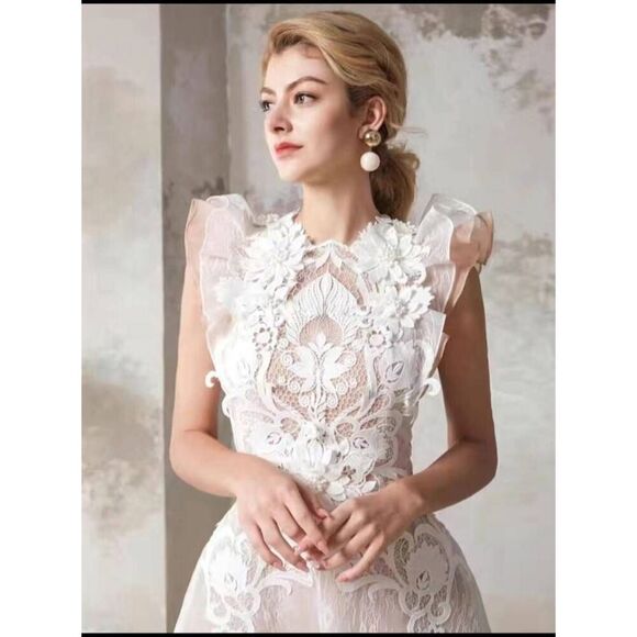 Aimili Lace Lined Dress - Picture 3 of 14